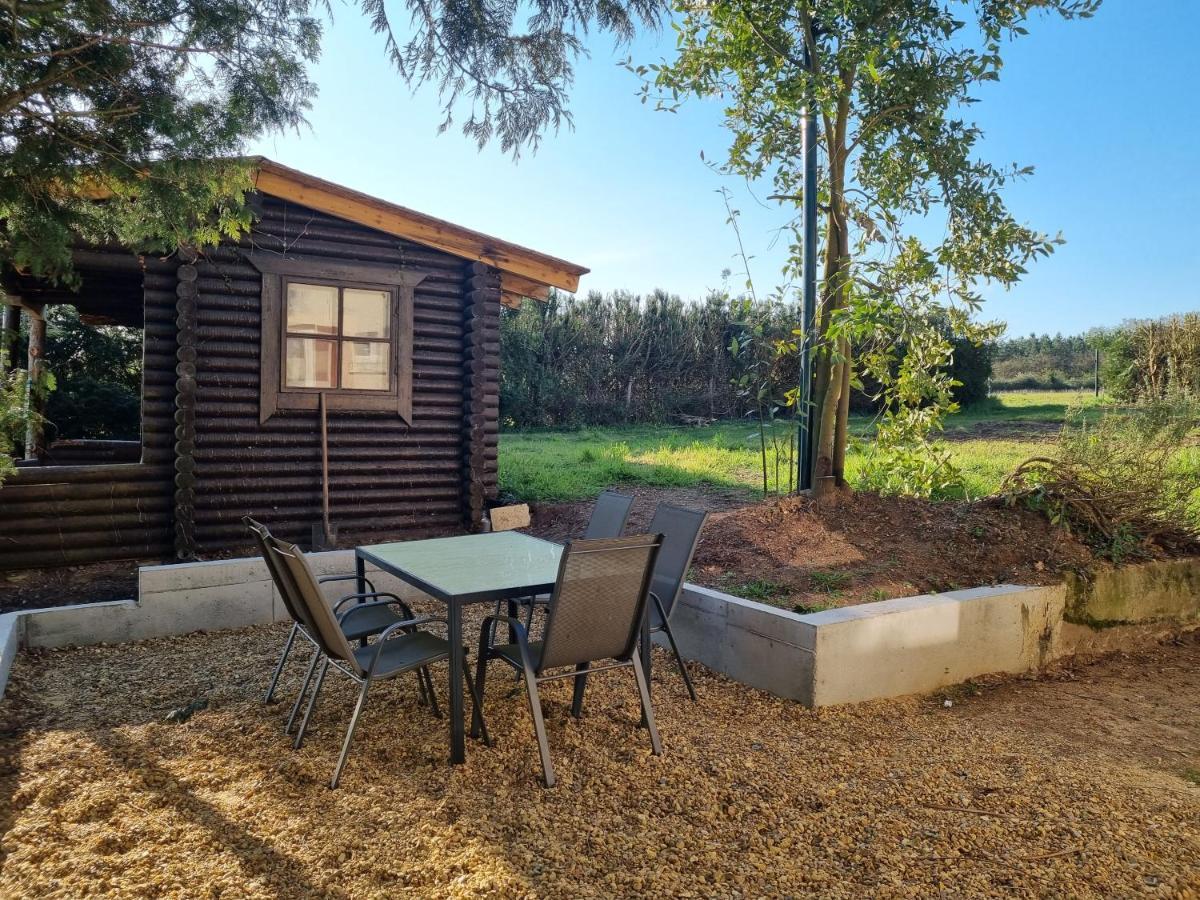 Appartement A La Campagne Avec Piscine Durtal Exterior photo